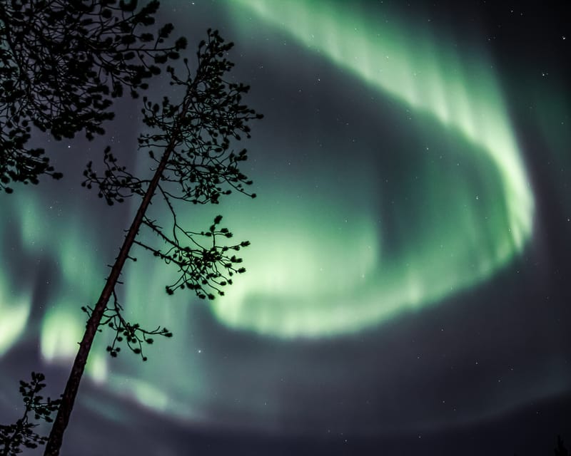 Saariselkä: Aurora Photo Tour by Car with Transfer & Drinks - Practical Advice Before You Go