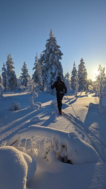 Saariselkä: Back-Country Skiing Guided Tour - Why the wide skis matter in soft snow