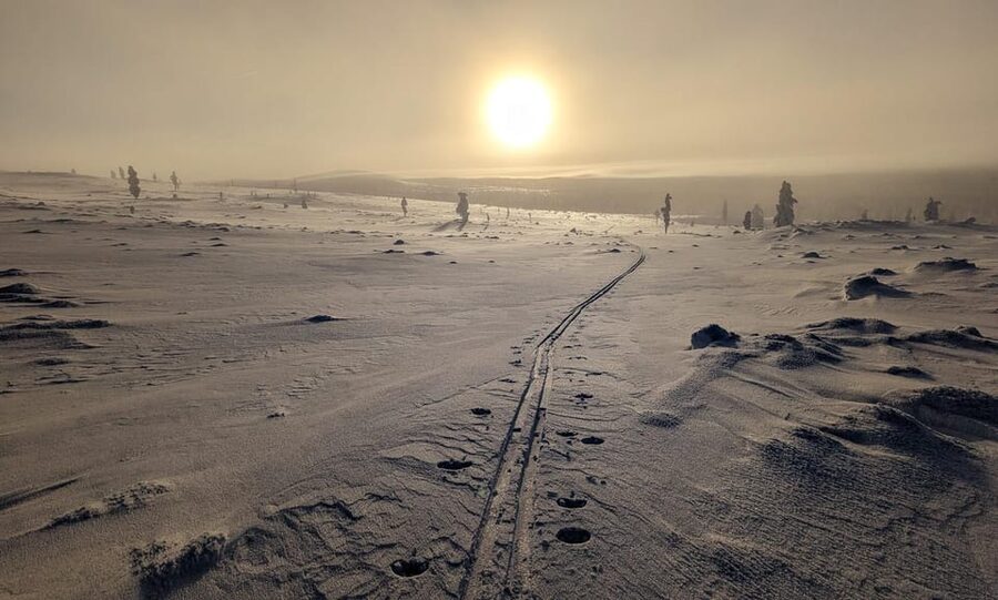 Saariselkä: Back-Country Skiing Guided Tour - What the route is like through forests and fells