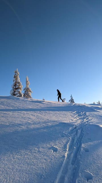 Saariselkä: Back-Country Skiing Guided Tour - Price and value at $94