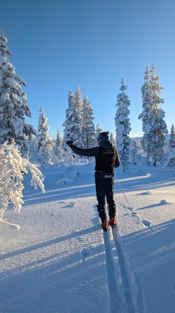 Saariselkä: Back-Country Skiing Guided Tour - Who should book this Saariselkä ski tour?