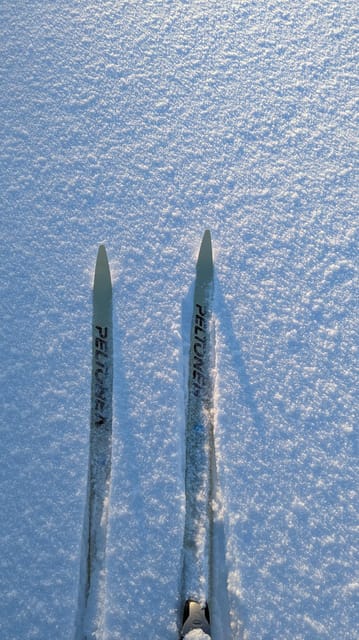 Saariselkä: Back-Country Skiing Guided Tour - A small group makes the lesson more useful