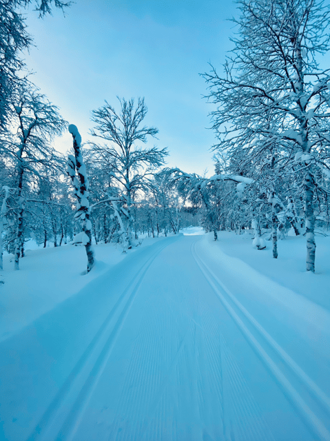 Saariselkä: Cross-Country Skiing for beginners - A warm finish by the hut fire