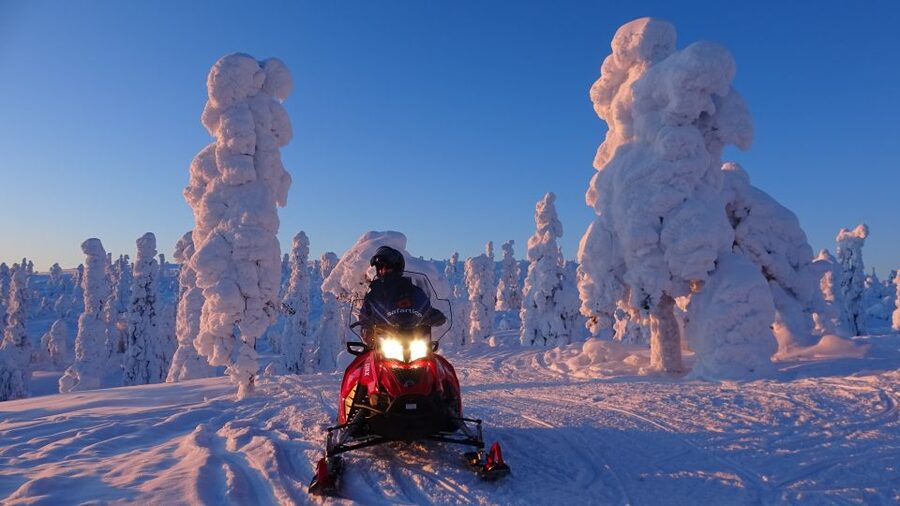 Saariselkä: Evening Snowmobile Tour with Fire & picnic - Riding into Saariselkä’s Arctic night