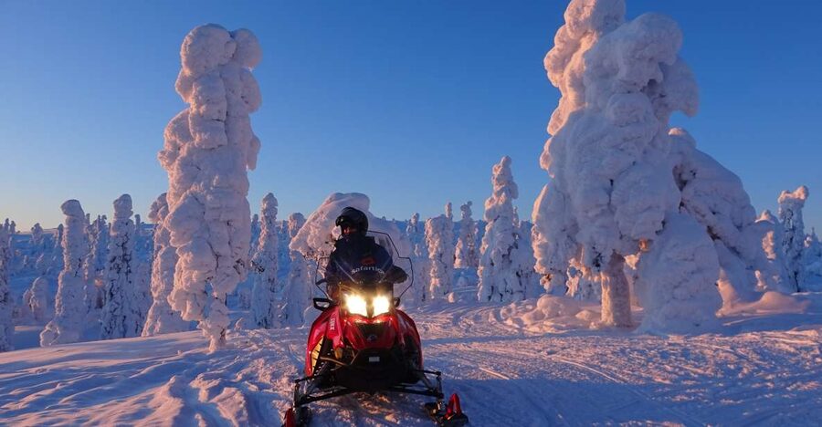 Saariselkä: Evening Snowmobile Tour with Fire & picnic - The fire stop, sausages, and hot drinks