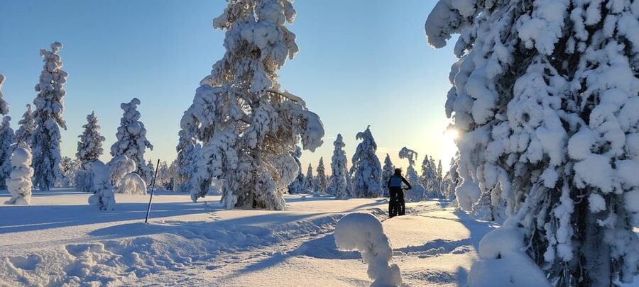 Saariselkä: Guided Fatbike Tour - Why two hours may be enough