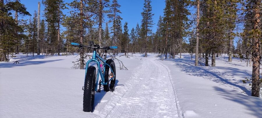 Saariselkä: Guided Fatbike Tour - Is $100 a fair price?