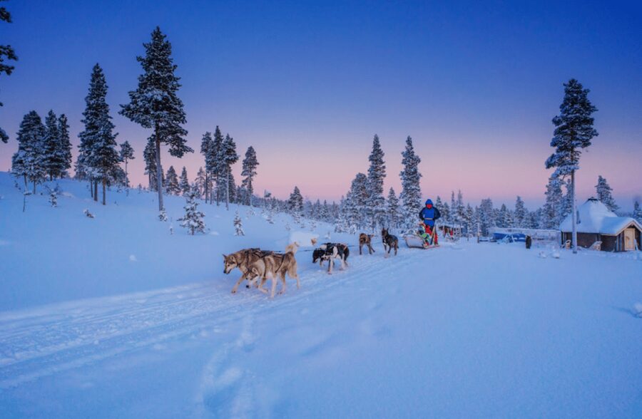 Saariselkä: Husky Safari with Aurora Borealis Hunt - Why this husky ride feels more rewarding than a short loop