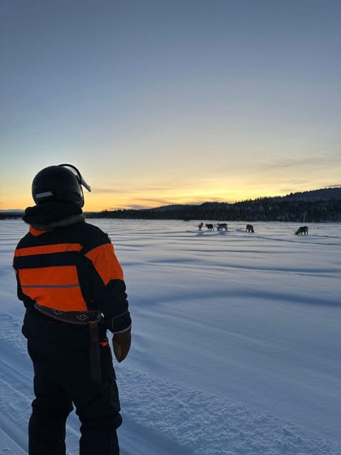 Saariselkä: Ice Fishing Tour to Lake Inari, reindeers& lunch - Why the small group matters