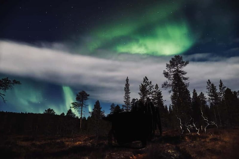 Saariselkä,Kakslauttanen: Aurora Hunting & Photography Tour. - Who will enjoy this aurora hunt most