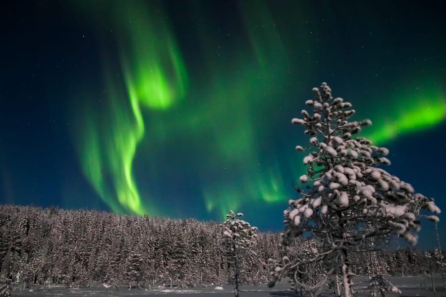 Saariselkä: Northern Lights Hunting Snowshoe Trip - Hot Chocolate in the Middle of Nowhere