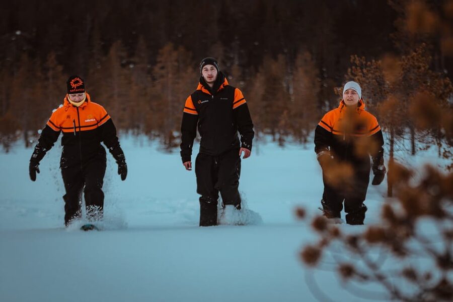 Saariselkä: Northern Lights Hunting Snowshoe Trip - Who Will Get the Most From This Snowshoe Trip