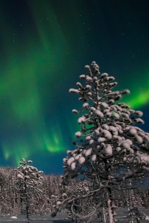 Saariselkä: Northern Lights Hunting Snowshoe Trip - My Verdict on Safartica’s Saariselkä Night Walk