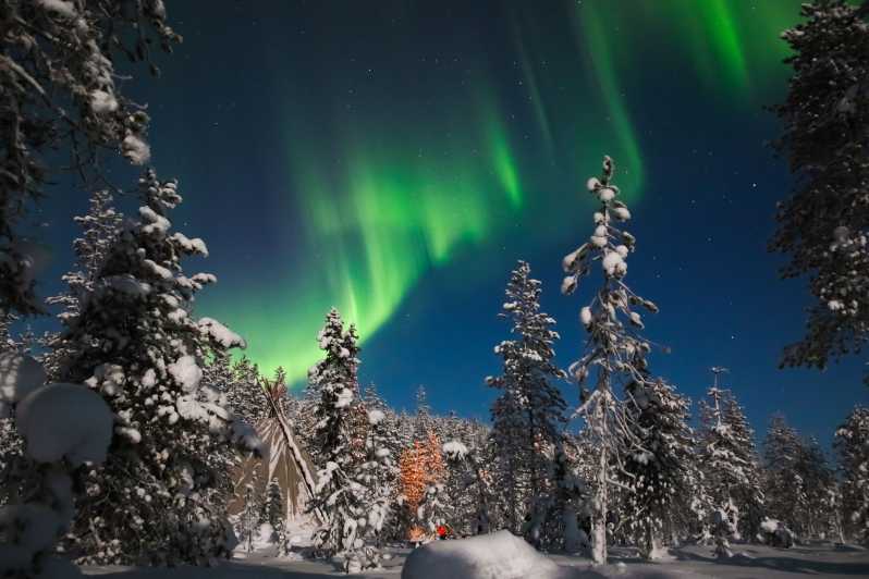 Saariselkä: Northern Lights Hunting Snowshoe Trip - The Quiet Forest Is More Than a Backup Plan
