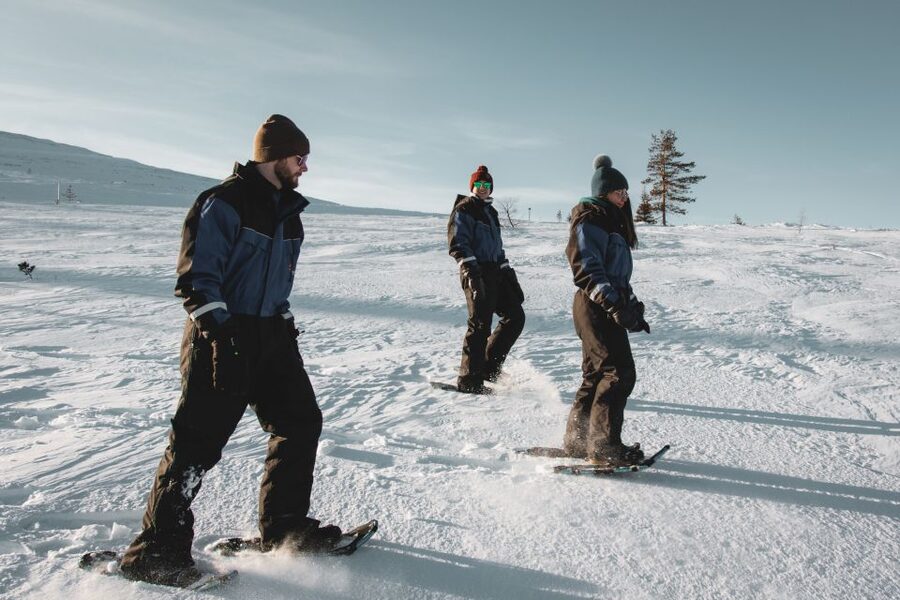 Saariselkä: Scenic Snowshoe Safari - What the guide adds to the walk