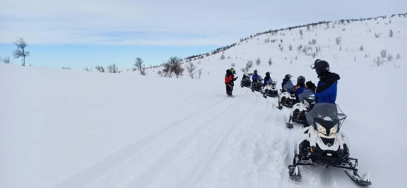 Saariselka: Snowmobile Safari on Tundra with BBQ - Safety, age, and comfort in the cold