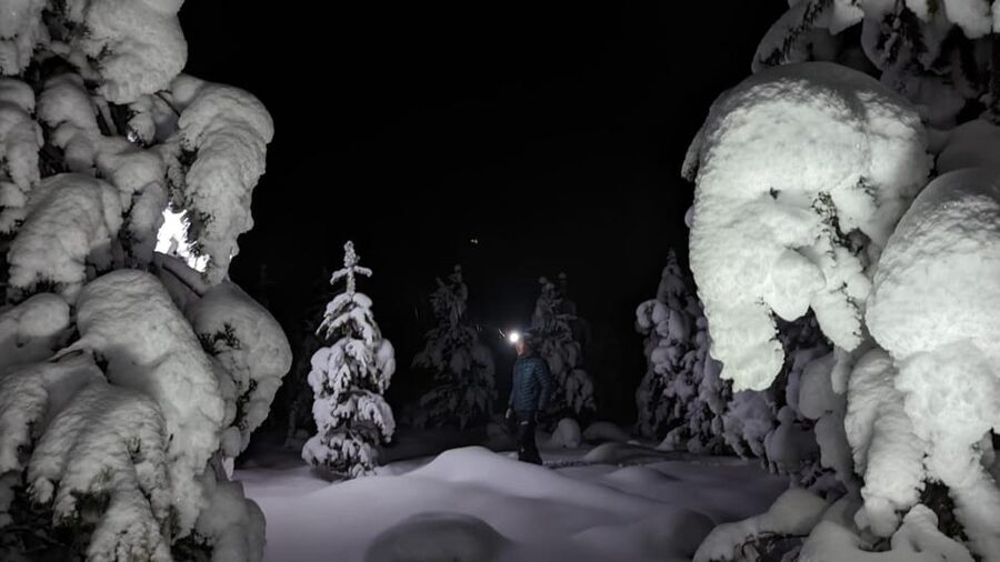Saariselkä: Snowshoeing Tour in Urho Kekkonen National Park - Who should book this snowshoe tour?