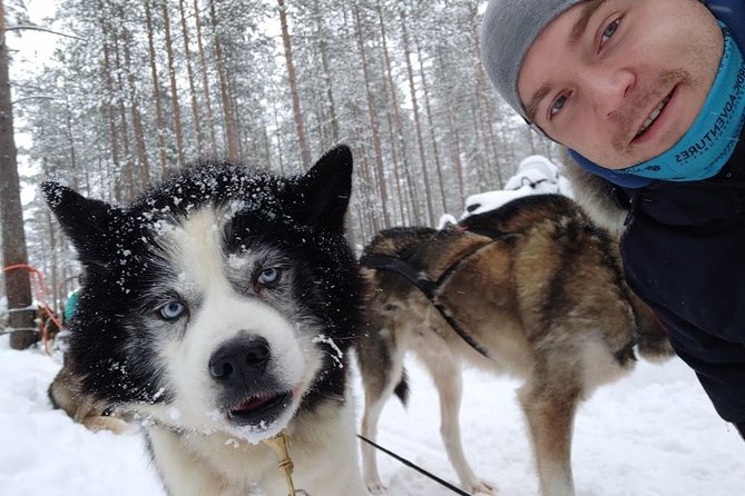 Santa Claus Village Guided Tour & Arctic Animals Adventure - Starting in Rovaniemi at 9:00