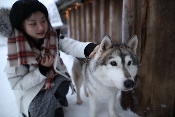 Santa Claus Village, Husky and Reindeers Combo Safari - Timing, weather, and seasonal changes