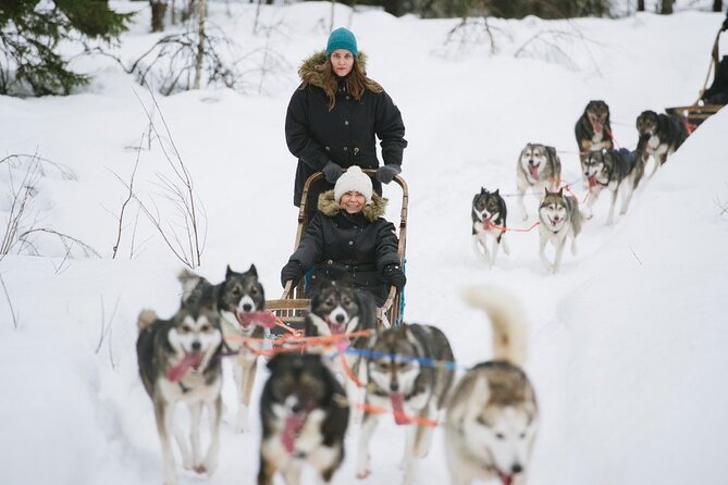 Santa's Reindeer & Husky Safari + Aurora BBQ in Rovaniemi - Two Aurora stops, but no promise of lights