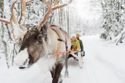 Santa’s Reindeer & Husky Safari + Aurora BBQ in Rovaniemi