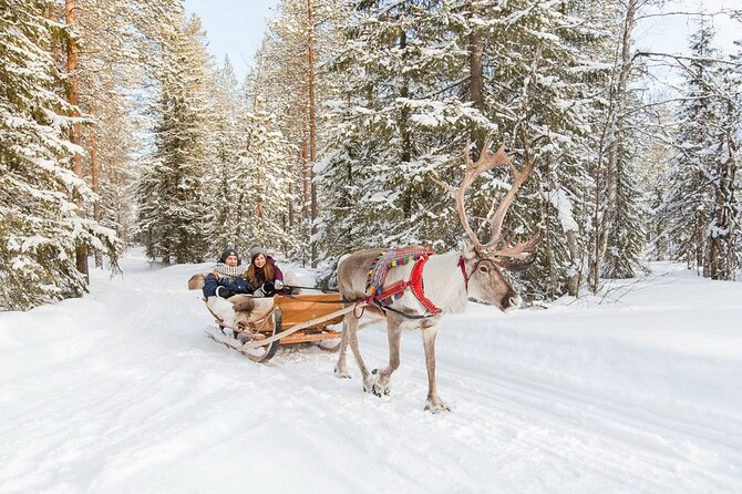 Santa's Reindeer & Husky Safari + Aurora BBQ in Rovaniemi - The Kota fire and what is actually included