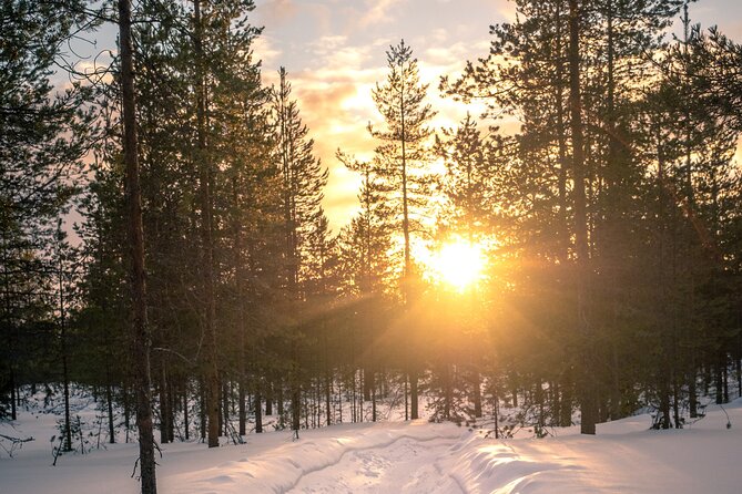 Scenic electric fat bike group ride in Rovaniemi - The downhill return and the chance of falling