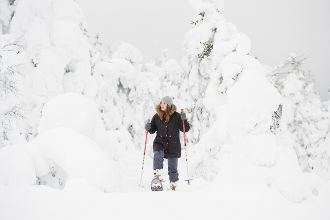 Scenic Snowshoeing on the Top of Pyhä Fell - Why the $128.84 price can make sense