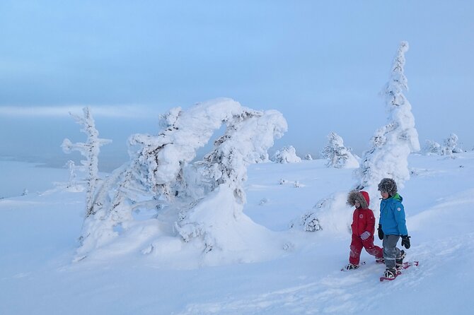 Scenic Snowshoeing on the Top of Pyhä Fell - Who should book this Pyhä snowshoe tour?