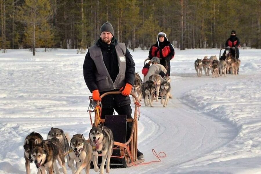 Sirkka: Husky Sled Ride in Levi 2km or 5 km from Levi - Fire-side drinks and the human side of the visit