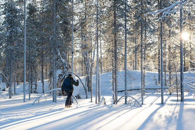 Ski Trek to the Wilderness - Extra Small group - Leaving Rovaniemi for the forest