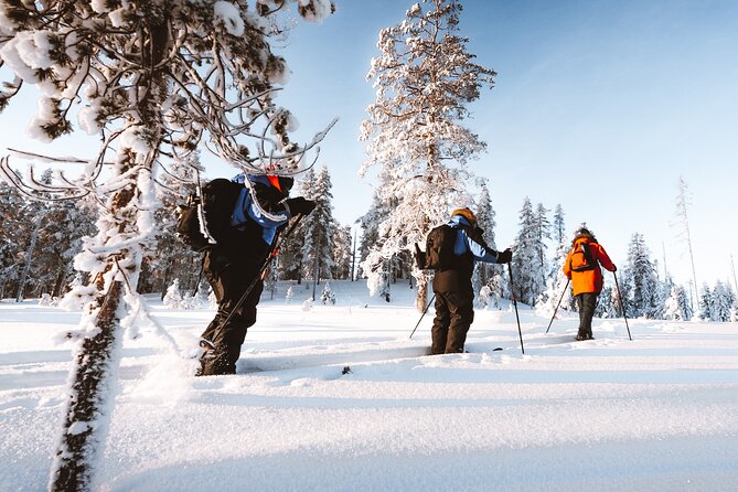 Ski Trekking Safari in Lapland - A small group, but not a fixed route
