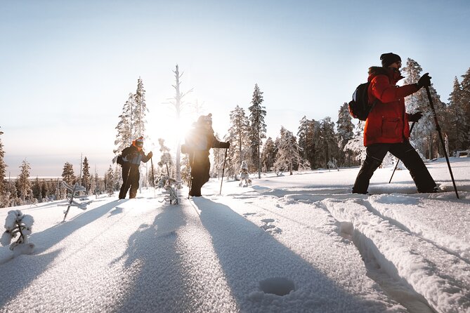 Ski Trekking Safari in Lapland - One hour to 90 minutes of quiet skiing