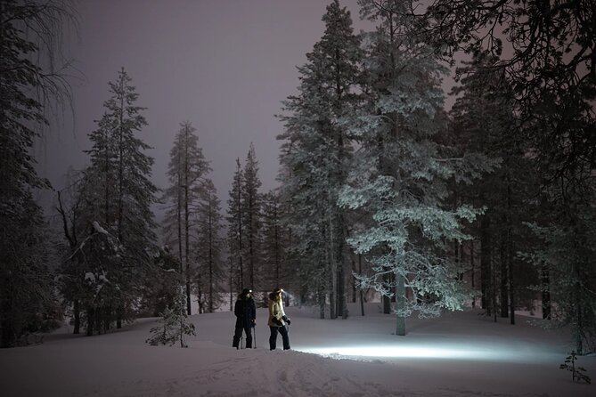 Ski Trekking under the Northern Lights - The Three-and-a-Half-Hour Schedule