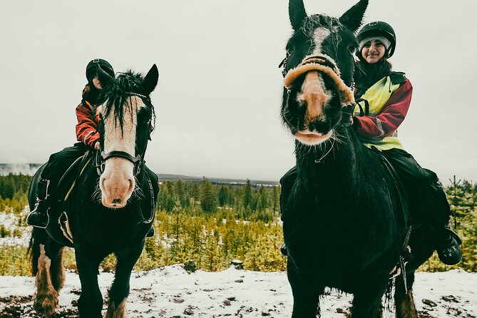 Small-Group Arctic Circle Horse Riding from Rovaniemi - Irish Cobs and the forests outside Rovaniemi