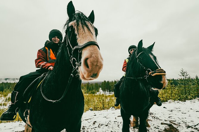 Small-Group Arctic Circle Horse Riding from Rovaniemi - The guides and the human side of the outing