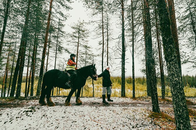 Small-Group Arctic Circle Horse Riding from Rovaniemi - Winter riding, clothing, and comfort