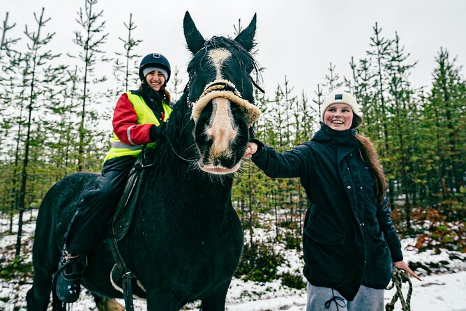 Small-Group Arctic Circle Horse Riding from Rovaniemi - Is $145 a fair price?