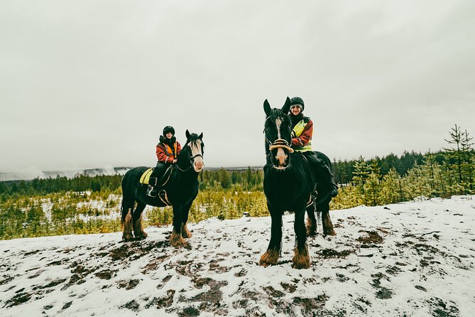 Small-Group Arctic Circle Horse Riding from Rovaniemi - Timing deserves careful attention