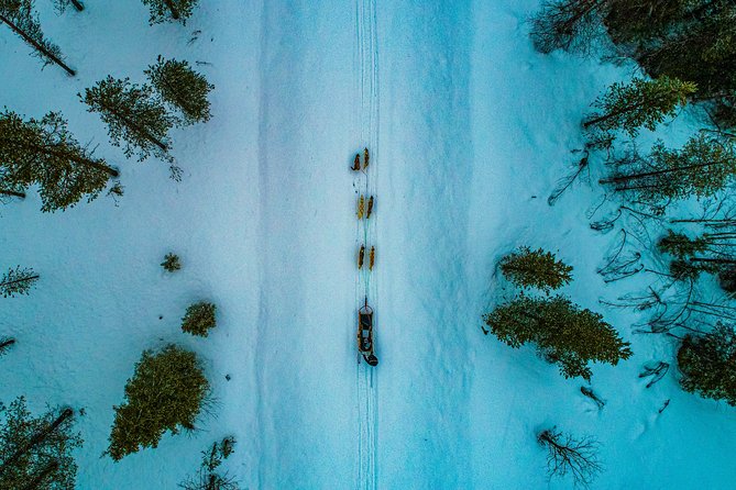 Small-Group Husky Mushing Experience in Rovaniemi - Clothing, effort, and comfort