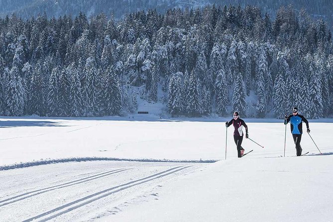 Small-Group Lapland Cross Country Ski - What the three-and-a-half-hour outing includes