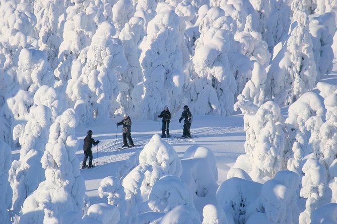 Small-Group Lapland Cross Country Ski - What to bring and how to plan your day