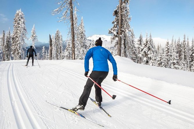 Small-Group Lapland Cross Country Ski - Meet at Maakuntakatu 29, not at your hotel