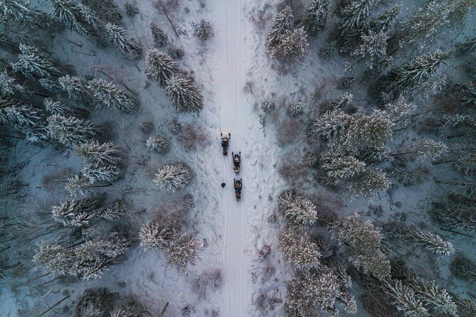 Small-Group Snowmobile Experience in Rovaniemi - Ninety minutes through forest and over a lake