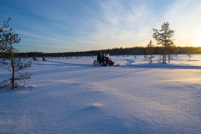 Small-Group Snowmobile Experience in Rovaniemi - Evening rides and the northern lights