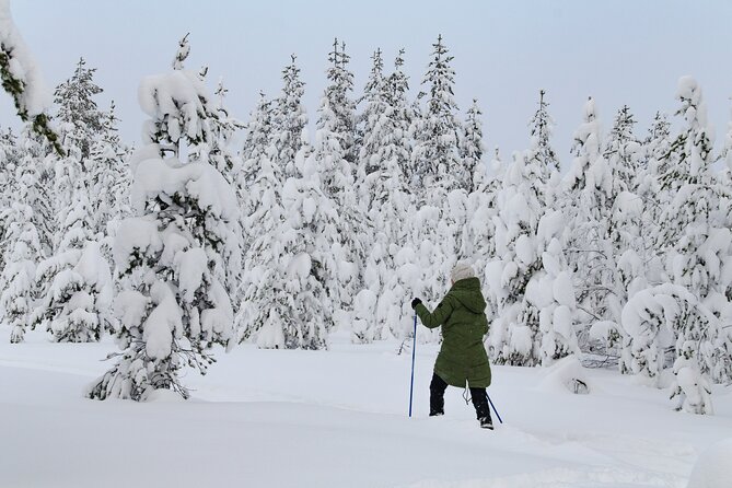Small-Group Snowshoeing Adventure In Lapland - Key points to know before booking