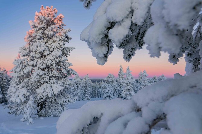 Small-Group Snowshoeing Adventure In Lapland - Leaving Rovaniemi for Lapland’s quiet side