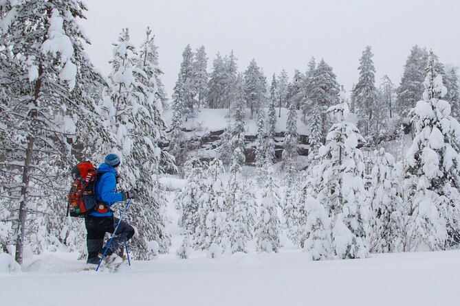 Small-Group Snowshoeing Adventure In Lapland - A warm break after the cold