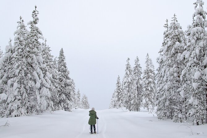 Small-Group Snowshoeing Adventure In Lapland - Aurora hopes and weather choices