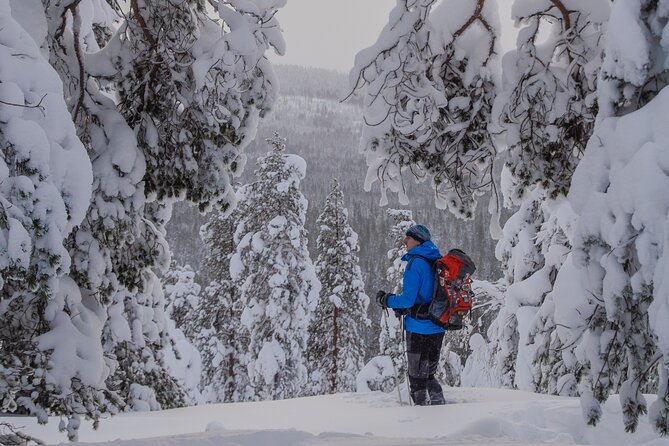 Small-Group Snowshoeing Adventure In Lapland - Is $104 a fair price?